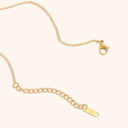 Golden Heirloom Locket Necklace Gold-Tone Finish | Timeless Keepsake Jewellery